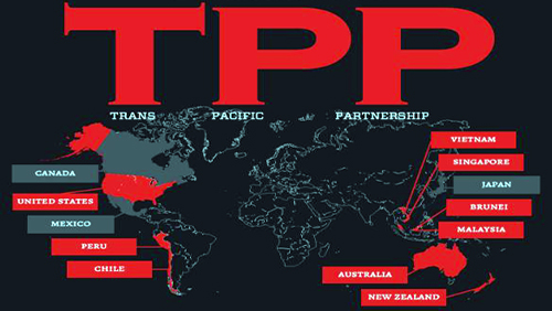 TPP01.jpg
